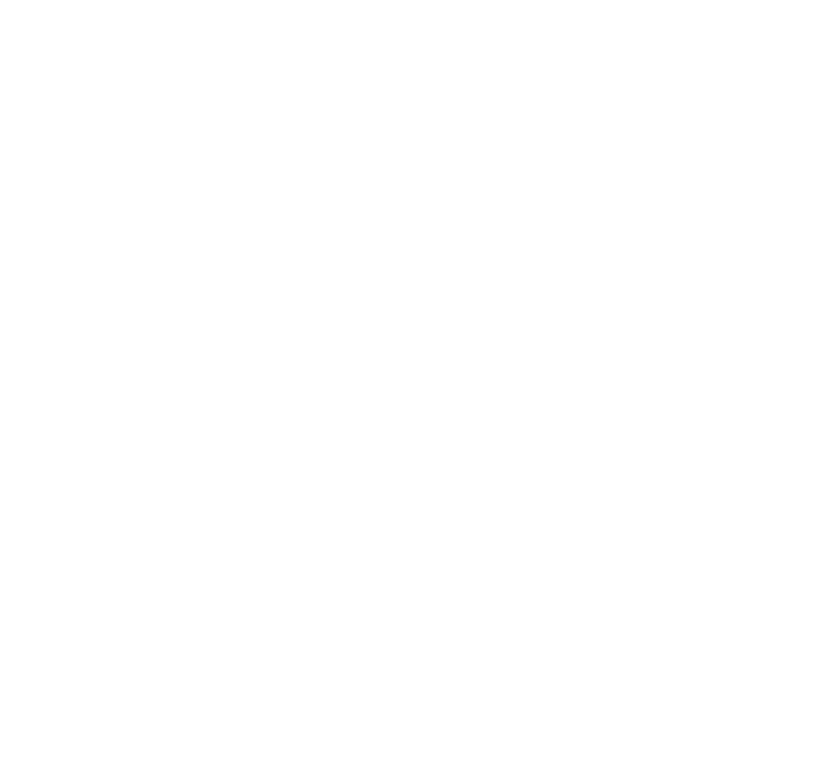 CAD wireframe line drawing of the Aeropod Profiler — wind vane, boom and Kestrel 5500 meter